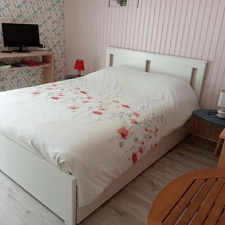 Chez Papinette, Proche Gare Et Centre, Pdj Compris Homestay Niort