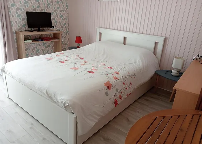 Chez Papinette, Proche Gare Et Centre, Pdj Compris * Niort